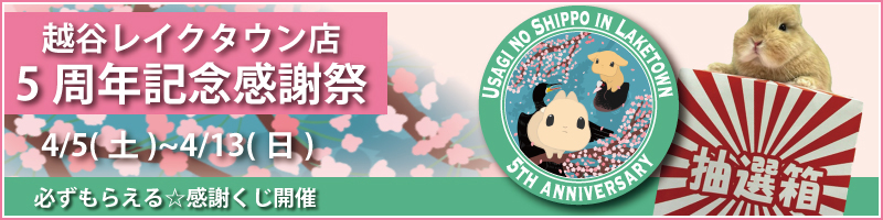 越谷レイクタウン店感謝祭