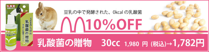 乳酸菌の贈物　10％OFF！！