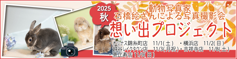 想い出プロジェクト2025秋 想い出プロジェクト2025秋
