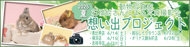 想い出プロジェクト夏2025