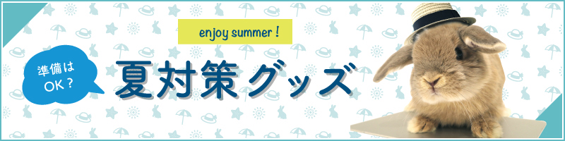 準備はOK?夏対策グッズ