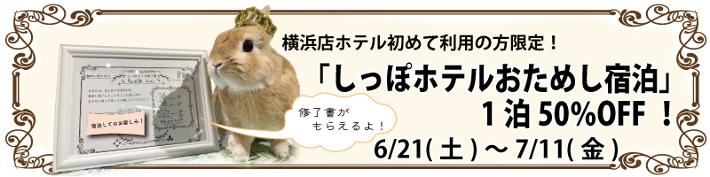 しっぽのおためし宿泊