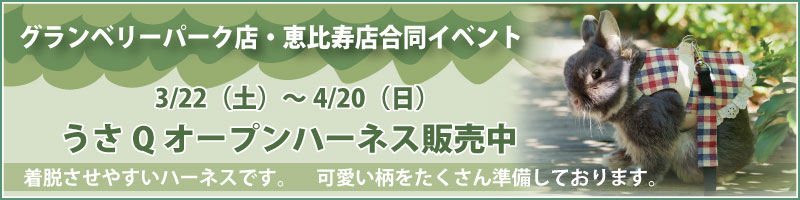 うさQオープンハーネス
