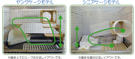 ご長寿うさぎ！