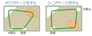 ご長寿うさぎ！