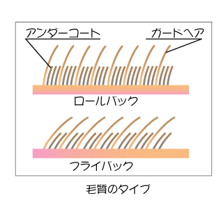 これからの季節、皮膚トラブル要注意！