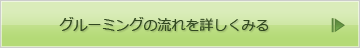 グルーミングの流れを詳しくみる