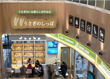 幕張新都心店