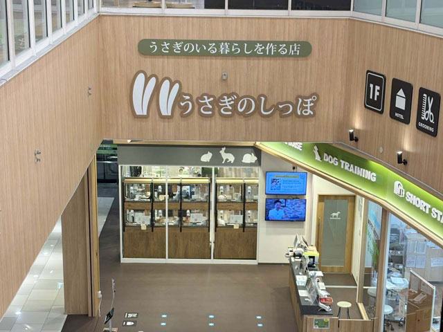 幕張新都心店 | うさぎのしっぽ