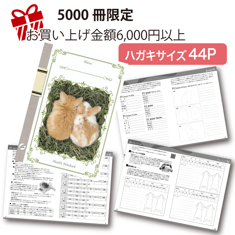 うさぎのしっぽ