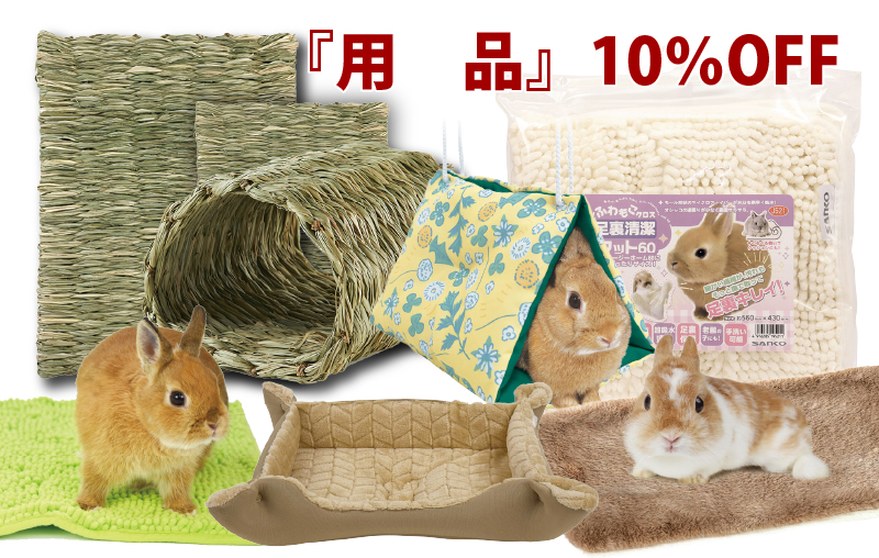 うさぎのしっぽ うさぎのしっぽ
