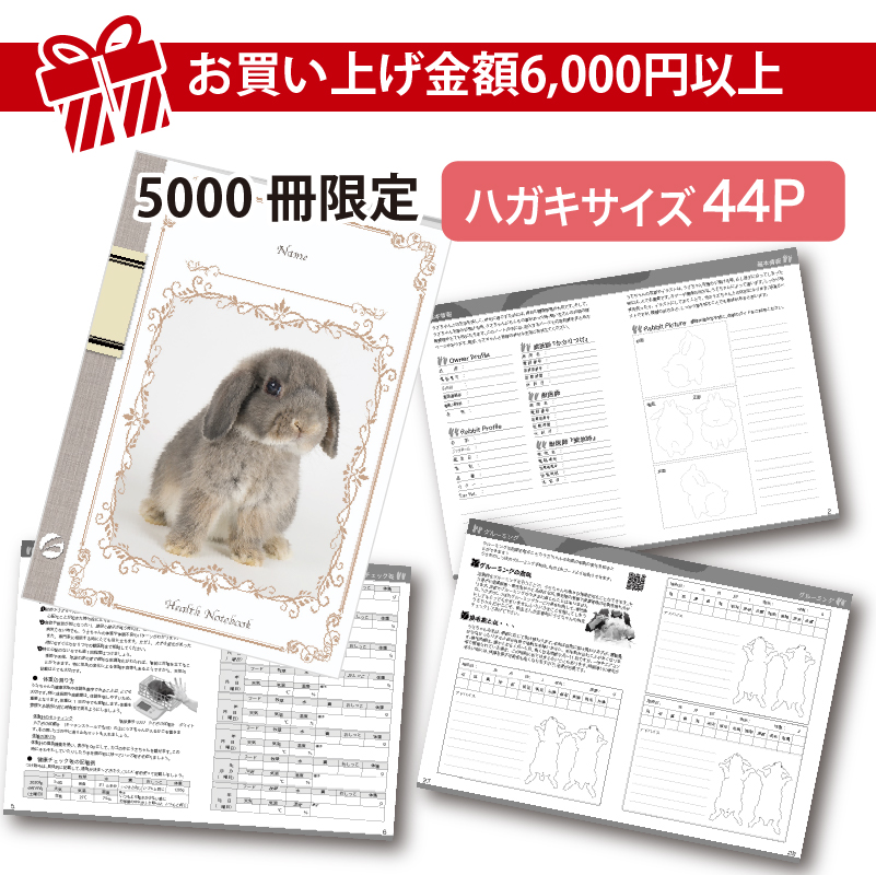 うさぎのしっぽ うさぎのしっぽ