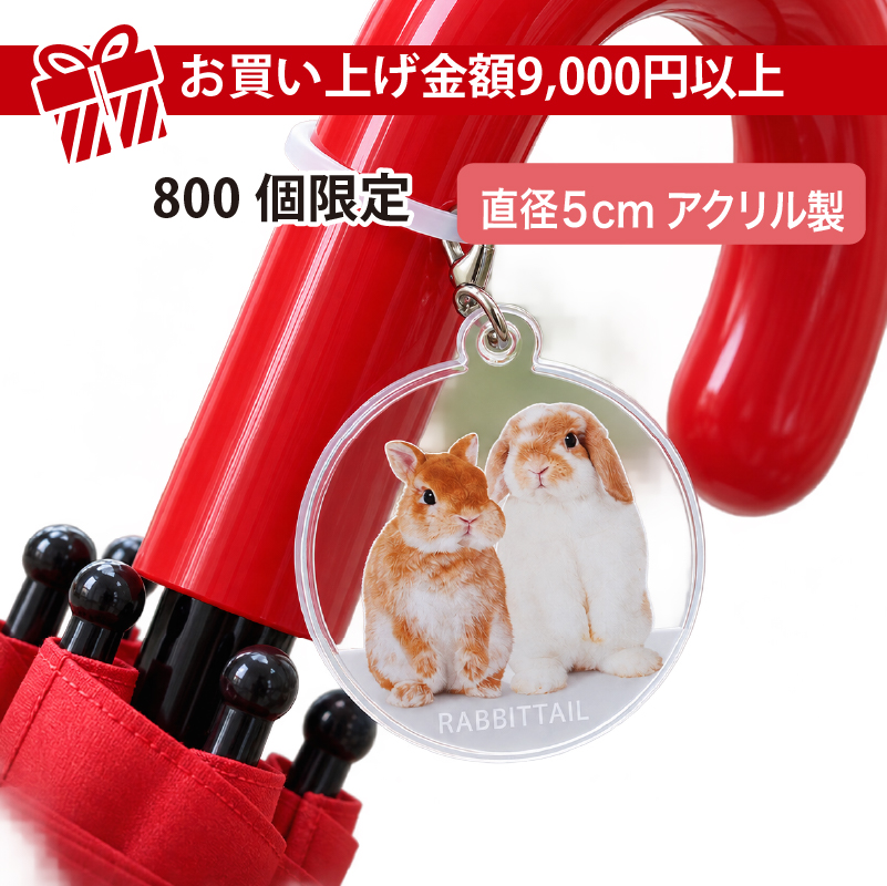 うさぎのしっぽ うさぎのしっぽ