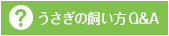 うさぎの飼い方Q&A